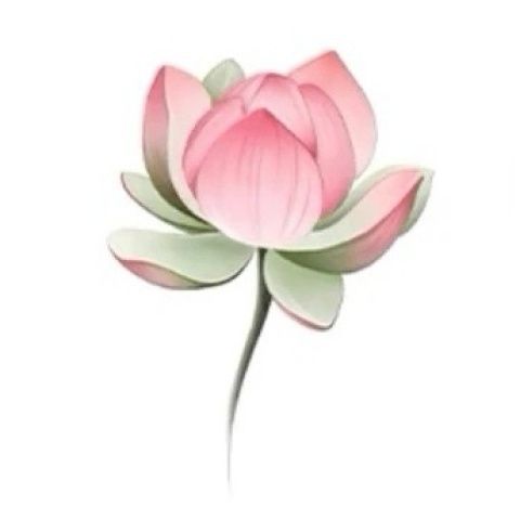 Lotus Floral Temporary Tattoo Set — product view 1
